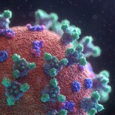 Coronavirus visualisatie.jpg